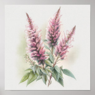 Cartaz de Impressão de Arte da Flor Astilbe Rosa