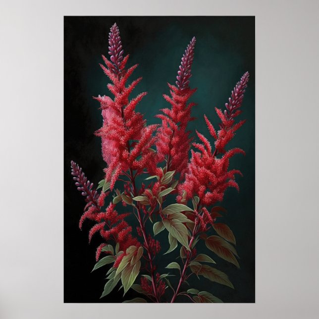 Cartaz de Impressão de Arte da Flor Astilbe Vermel (Frente)