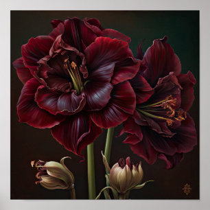 Cartaz de Impressão de Arte da Flor de Amarílis Bo