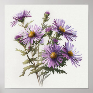 Cartaz de Impressão de Arte da Flor de Áster Roxa