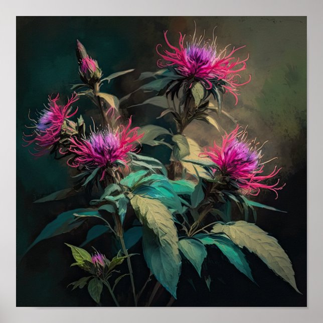 Cartaz de Impressão de Arte da Flor de Bálsamo de  (Frente)