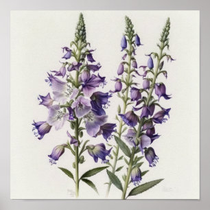 Cartaz de Impressão de Arte da Flor de Delphinium 