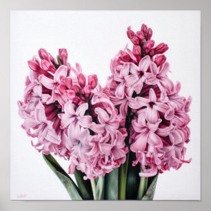 Cartaz de Impressão de Arte de Flor de Jacinto Ros