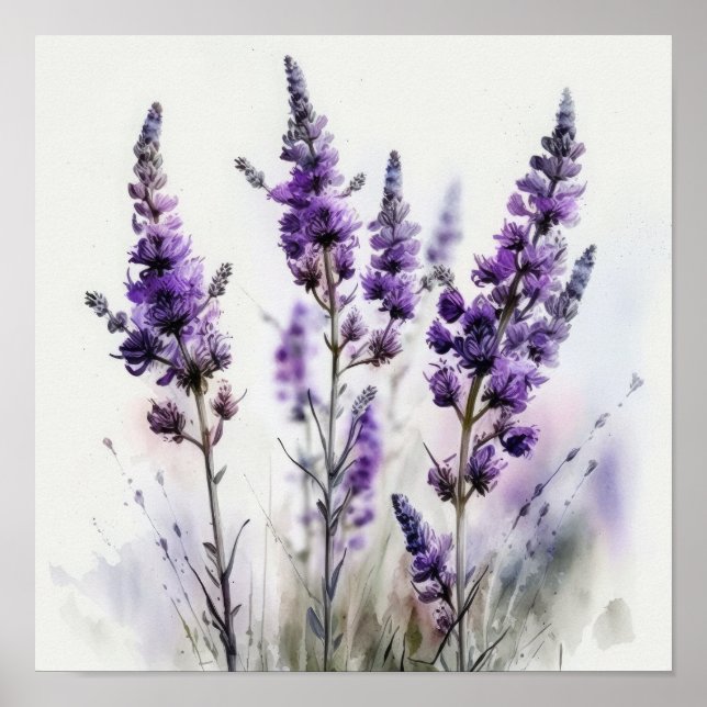 Cartaz de Impressão de Arte de Flores de Lavanda (Frente)
