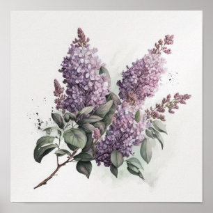 Cartaz de Impressão de Arte de Flores de Lilás