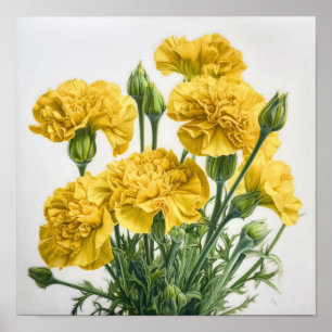 Cartaz de Impressão de Arte Floral de Cravos Amare