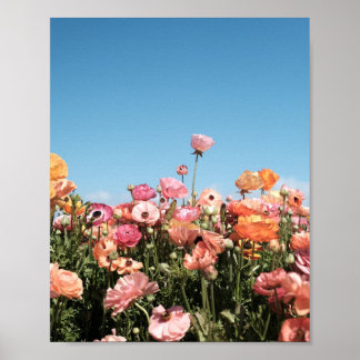 Cartaz de impressão de campo de flores coloridas