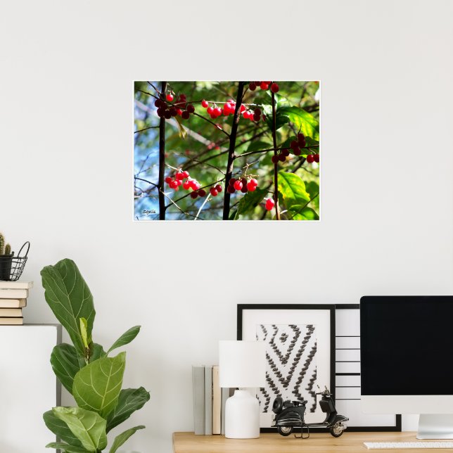 Cartaz de Impressão de Foto de Frutas Vermelhas na (Escritório em casa)