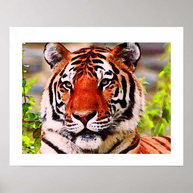 Cartaz de Impressão de Tigre - Estilo de Arte Pop  (Frente)