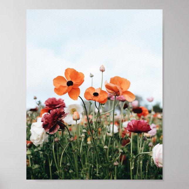 Cartaz de Impressão de Três Flores Laranja (Frente)