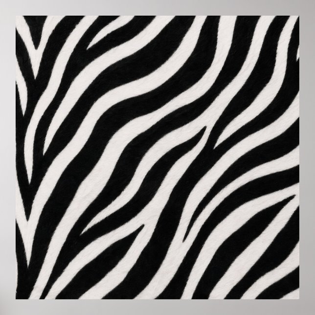 Cartaz de Impressão de Zebra Elegante Decoração Co (Frente)
