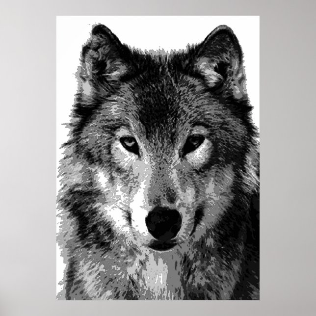 Cartaz de Impressão do Lobo Cinzento (Frente)