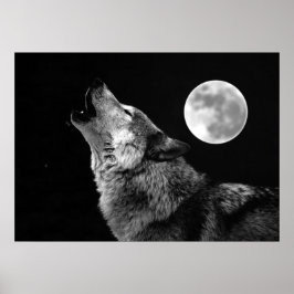 Cartaz de Impressão do Lobo Cinzento e Lua