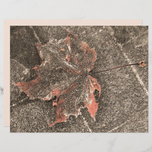 Cartaz de outono Folha de Folha de Folha de Folha  (Frente/Verso)