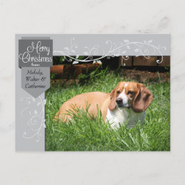 Cartaz de Prata e Florea Cartão de Natal