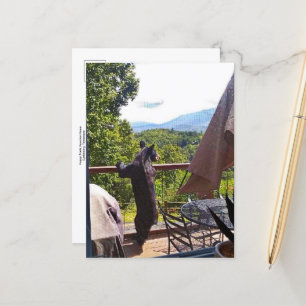 Cartaz negro desfrutando de vistas no cartão posta