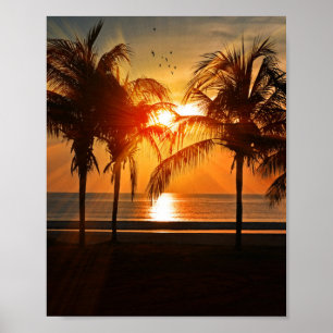 CARTAZ POSTER 8X10 CREPÚSCULO PRAIA TROPICAL