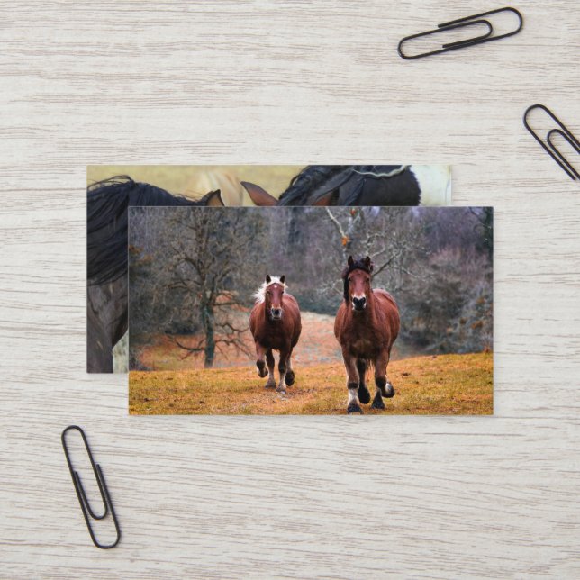 Carte De Visite Mini Cartões de visitas (Frente/Verso In Situ)