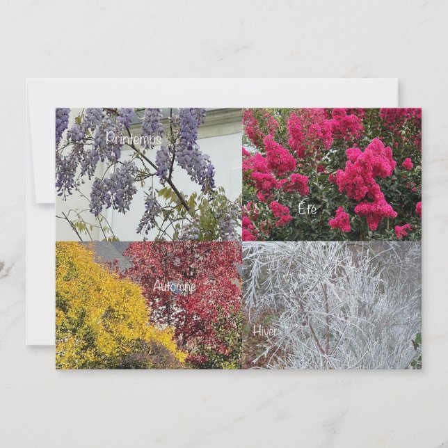 Carte simple Les Quatre Saisons (Frente)