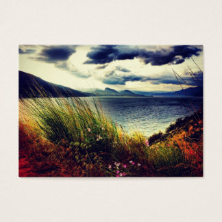 Carteira de Comércio de Artistas da Natureza