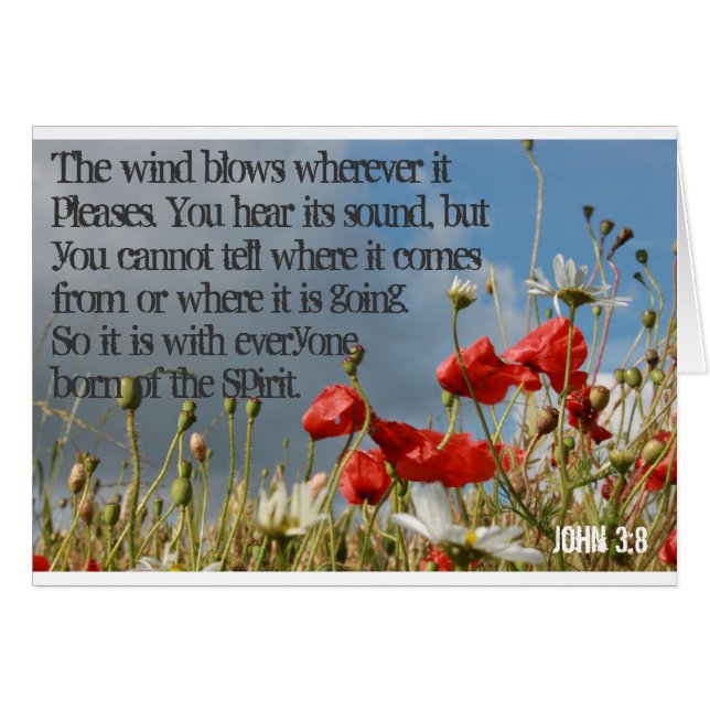 Cartões - 3:8 de John (Frente Horizontal)