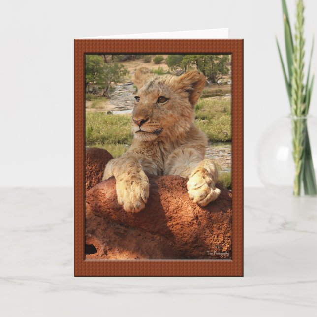 Cartões africanos do provérbio (Frente)