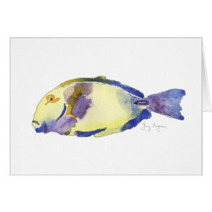 Cartões amarelos/azuis dos peixes