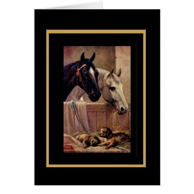Cartões Antigos Cavalos Cães (Frente)