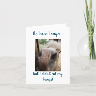 Cartões antigos de papel escolar por HwN