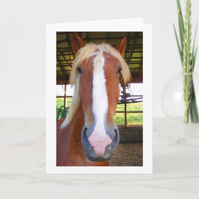 Cartões belgas (Frente)