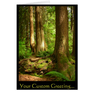 Cartões bonitos do impressão do cartão vazio da