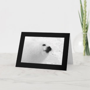 Cartões brancos pretos de Natal   Feriado branco p