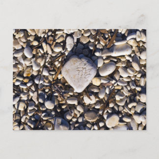 Cartões Cardíacos Natureza