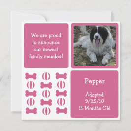 Cartões com fotos de anúncio de Pet de Cachorro Ro