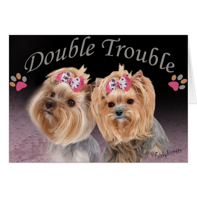 Cartões com Problemas Duplos Yorkie (Frente horizontal)