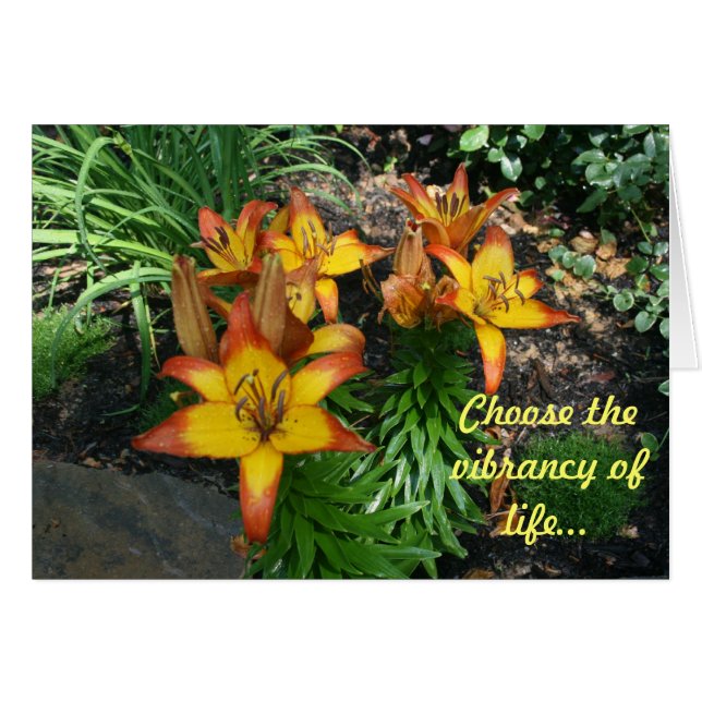 Cartões curas (Frente Horizontal)