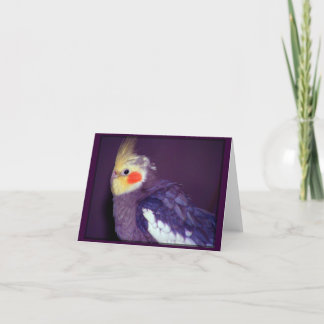 Cartões customizáveis de Tiel