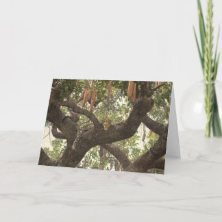 Cartões da arte dos animais selvagens de Combes da