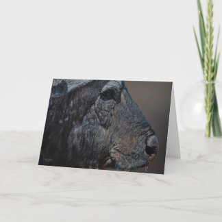 Cartões da arte dos animais selvagens de Combes da