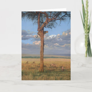 Cartões da arte dos animais selvagens de Combes da