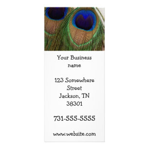 Cartões da cremalheira da pena do pavão