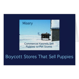 Cartões da miséria