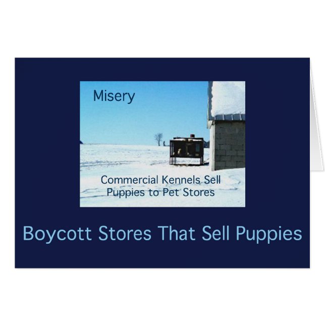 Cartões da miséria (Frente Horizontal)