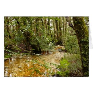 Cartões da paisagem, montanha do berço da floresta