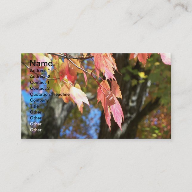 Cartões da queda (Frente)