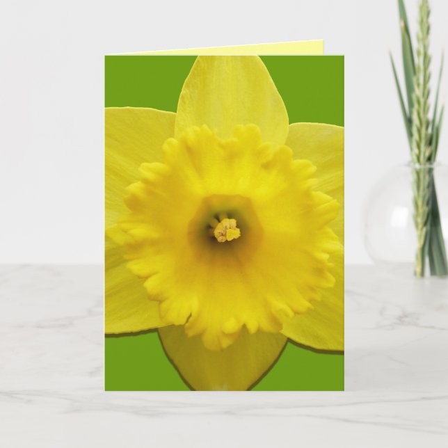 Cartões Daffodil Cartões Personalizados De Flor Da (Frente)
