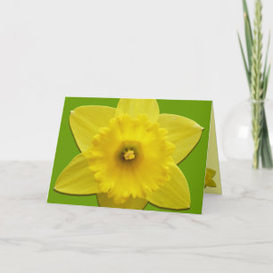 Cartões Daffodil Cartões Personalizados De Flor Da