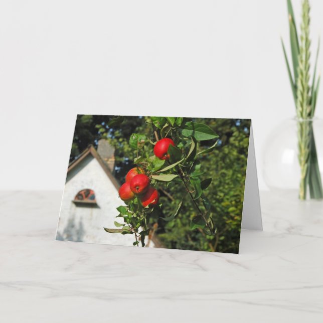 Cartões das maçãs do pombo (Frente)