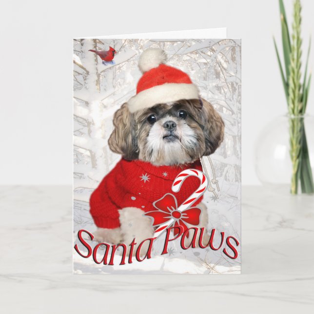 Cartões das patas do papai noel de Shih Tzu (Frente)