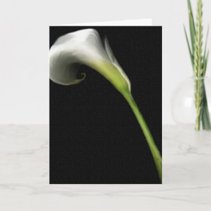 Cartões de Abertura Calla Lilly